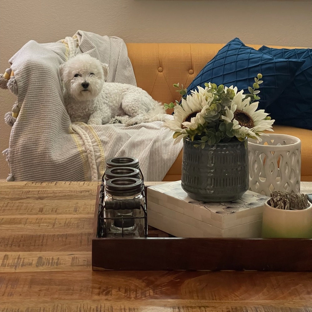 Meet your Posher, Kanwal